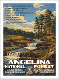 Angelina National Forest