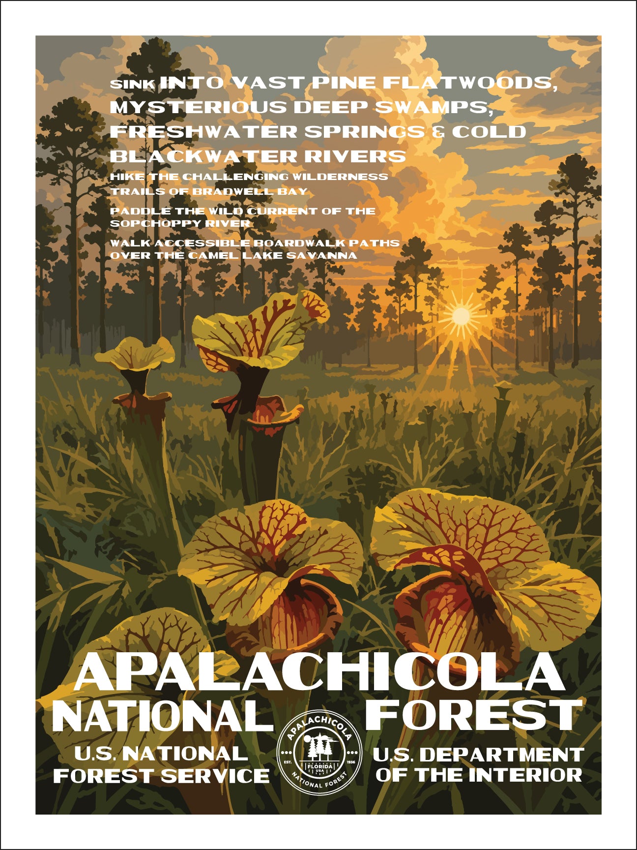 Apalachicola National Forest