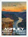Ashley National Forest