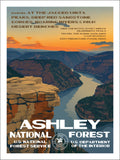 Ashley National Forest