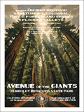 Avenue of the Giants
