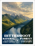 Bitterroot National Forest