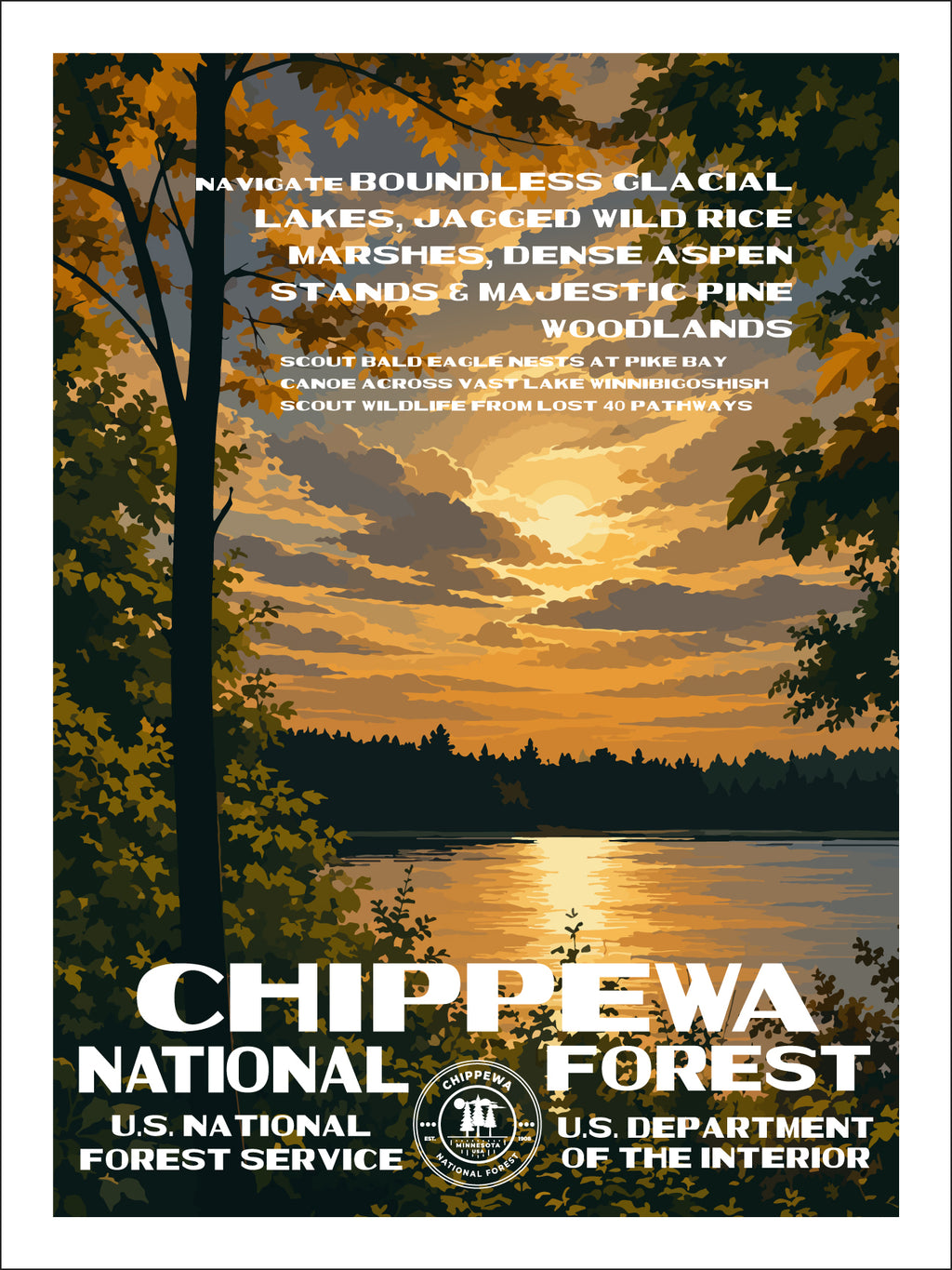Chippewa National Forest