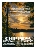 Chippewa National Forest