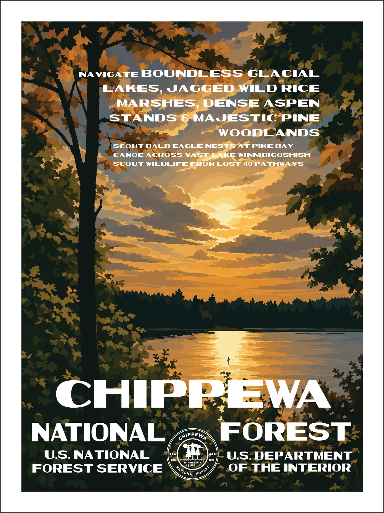 Chippewa National Forest