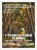 Cypress Tree Tunnel