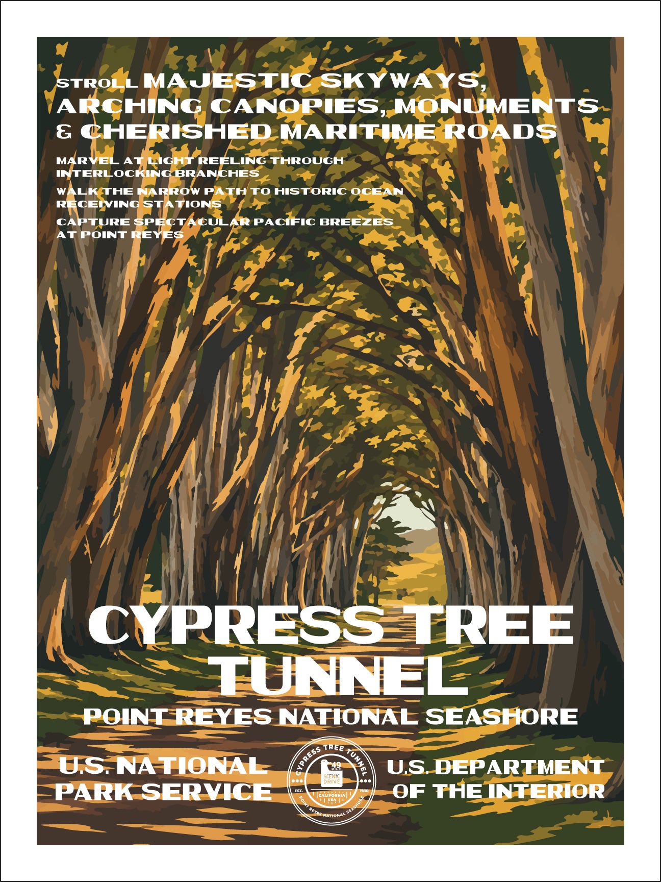 Cypress Tree Tunnel