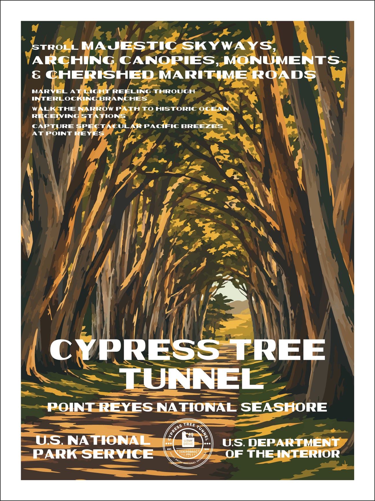 Cypress Tree Tunnel