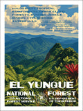 El Yunque National Forest