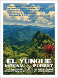 El Yunque National Forest