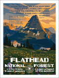 Flathead National Forest