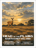 Head of the Plains
