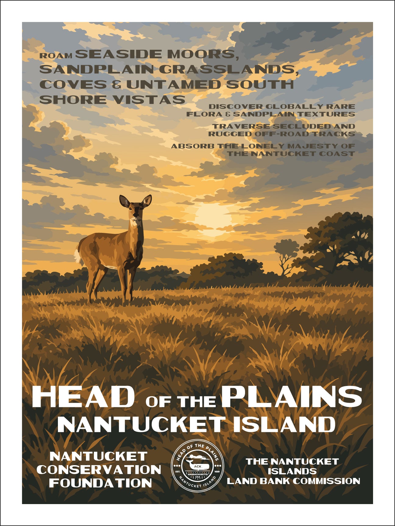 Head of the Plains