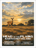 Head of the Plains