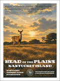 Head of the Plains