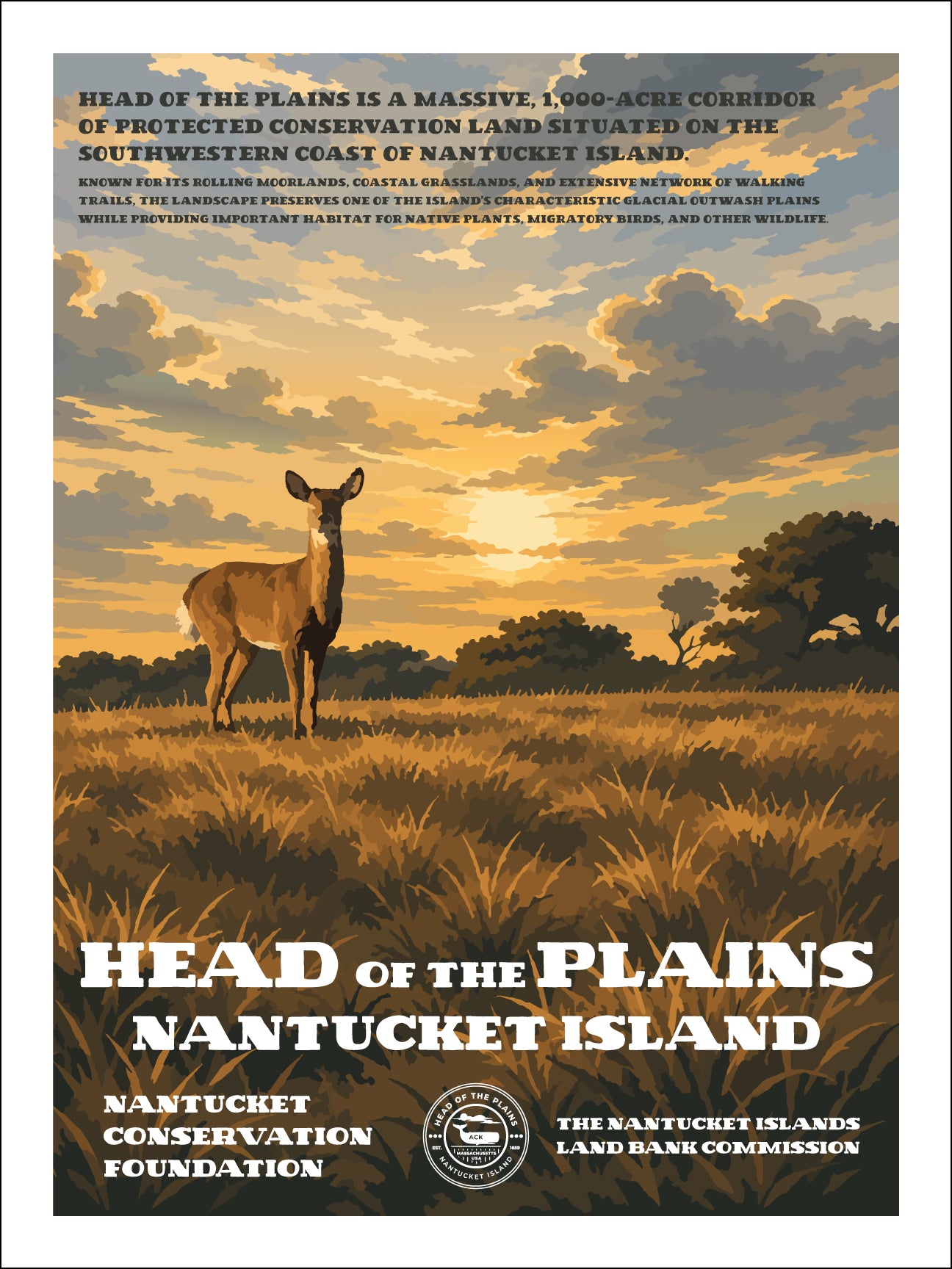 Head of the Plains