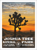Joshua Tree National Park