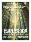 Muir Woods