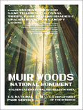 Muir Woods
