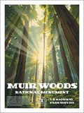 Muir Woods