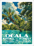 Ocala National Forest
