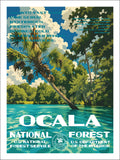 Ocala National Forest