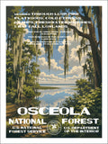 Osceola National Forest