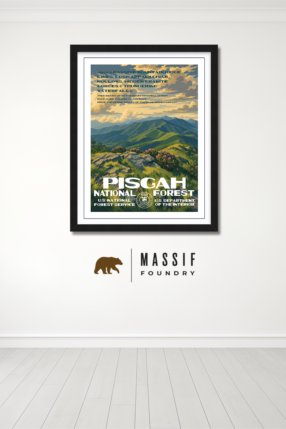 Pisgah National Forest