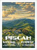 Pisgah National Forest