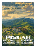 Pisgah National Forest
