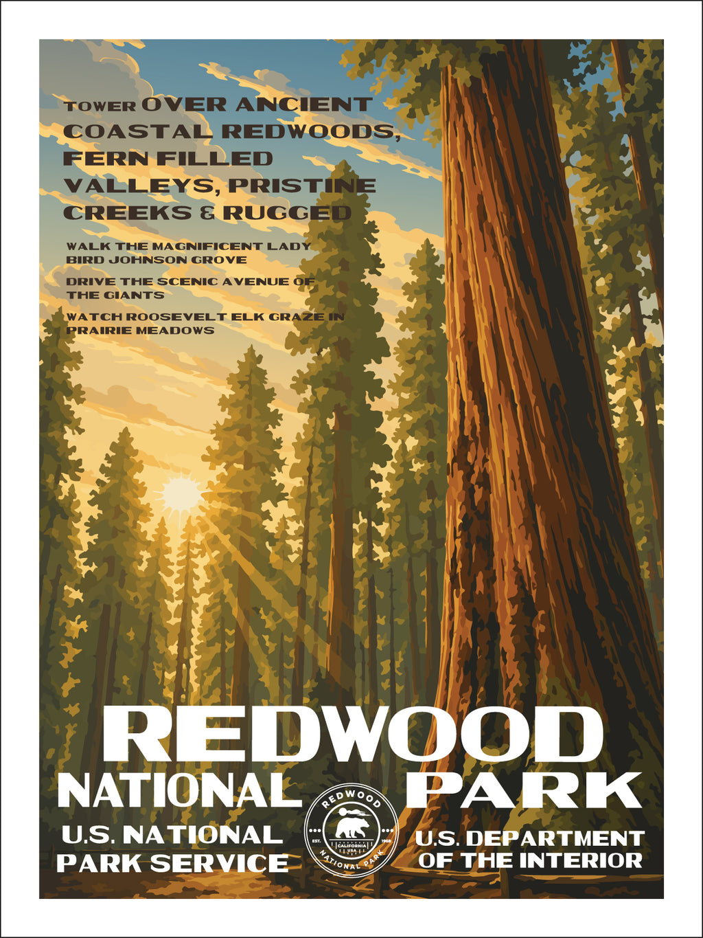 Redwood National Park