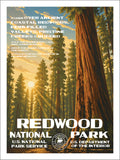 Redwood National Park