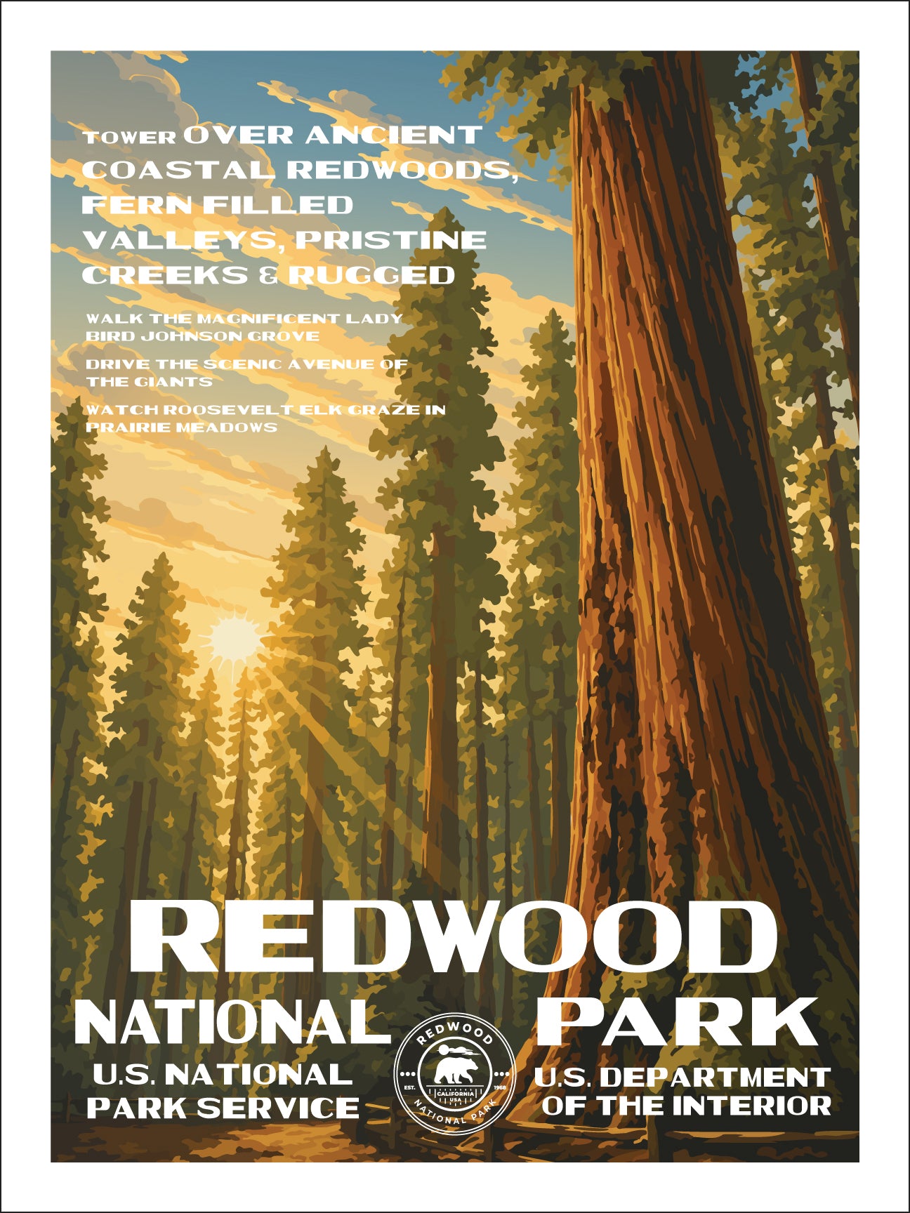 Redwood National Park