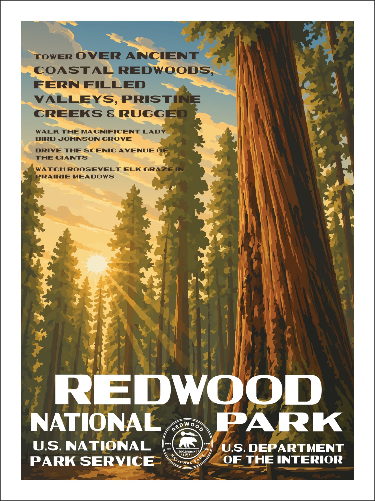 Redwood National Park