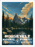 Roosevelt National Forest