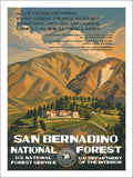 San Bernardino National Forest
