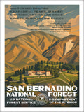 San Bernardino National Forest