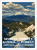Shasta–Trinity National Forest
