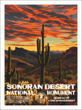 Sonoran Desert National Monument