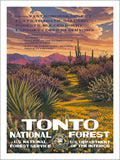 Tonto National Forest